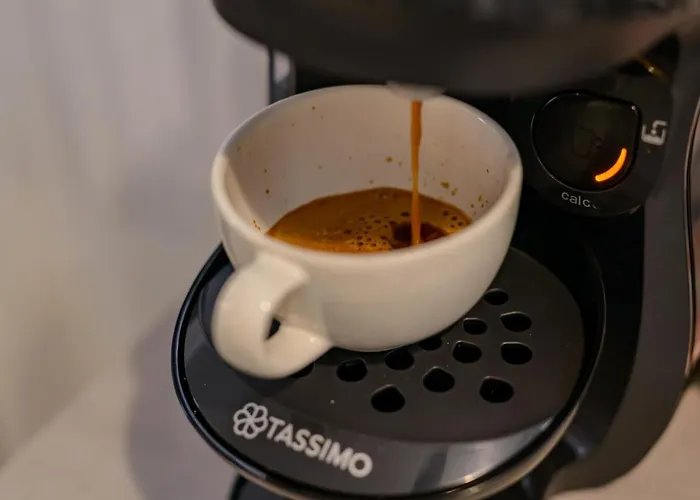 Aquarium Economy 5 Năvodari